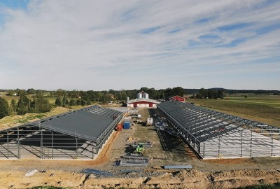 Chicken stable